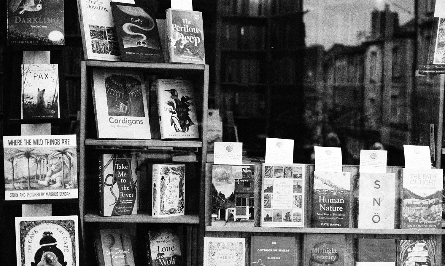 Books displayed on a shelf by the window